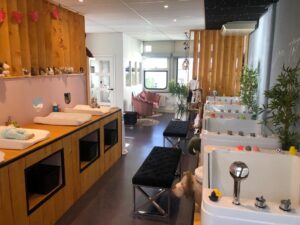 locatie